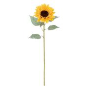 FLS-5209-L