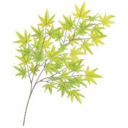 LES-0546-S