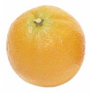 VF0130